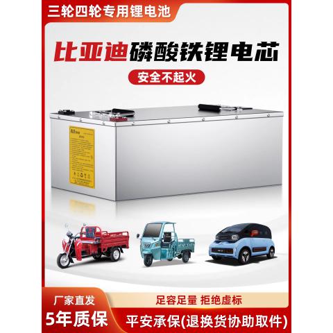 青龙锂电池48V60V72V磷酸铁锂电动二轮三轮车电瓶官方源头厂家